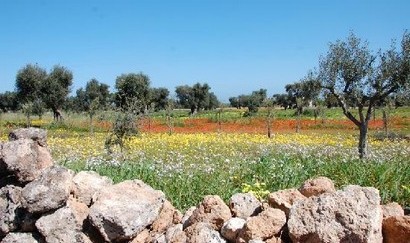 Binnenland Puglia